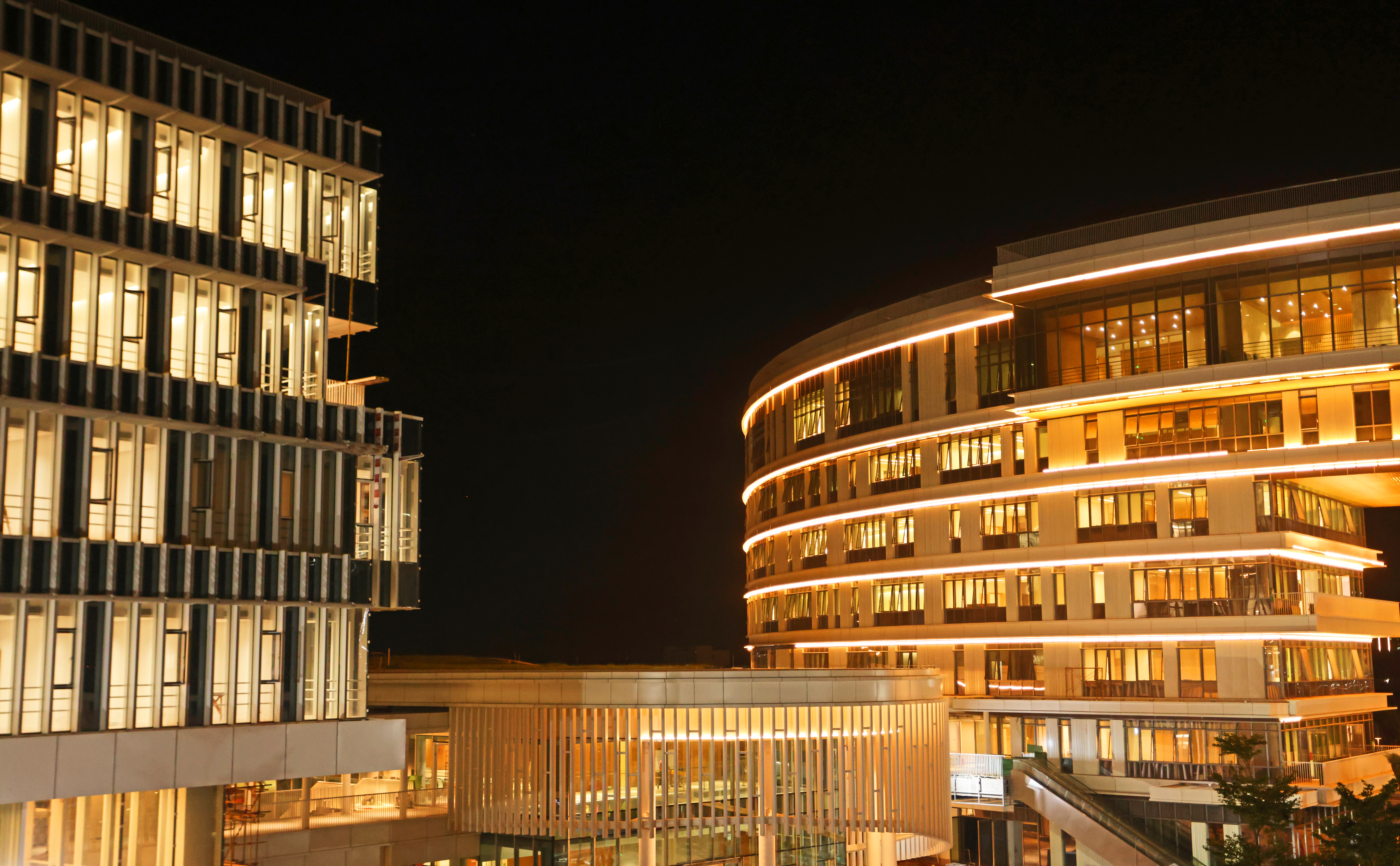 港科大（广州）核心区楼群夜景。图中建筑为学生活动中心及行政楼。