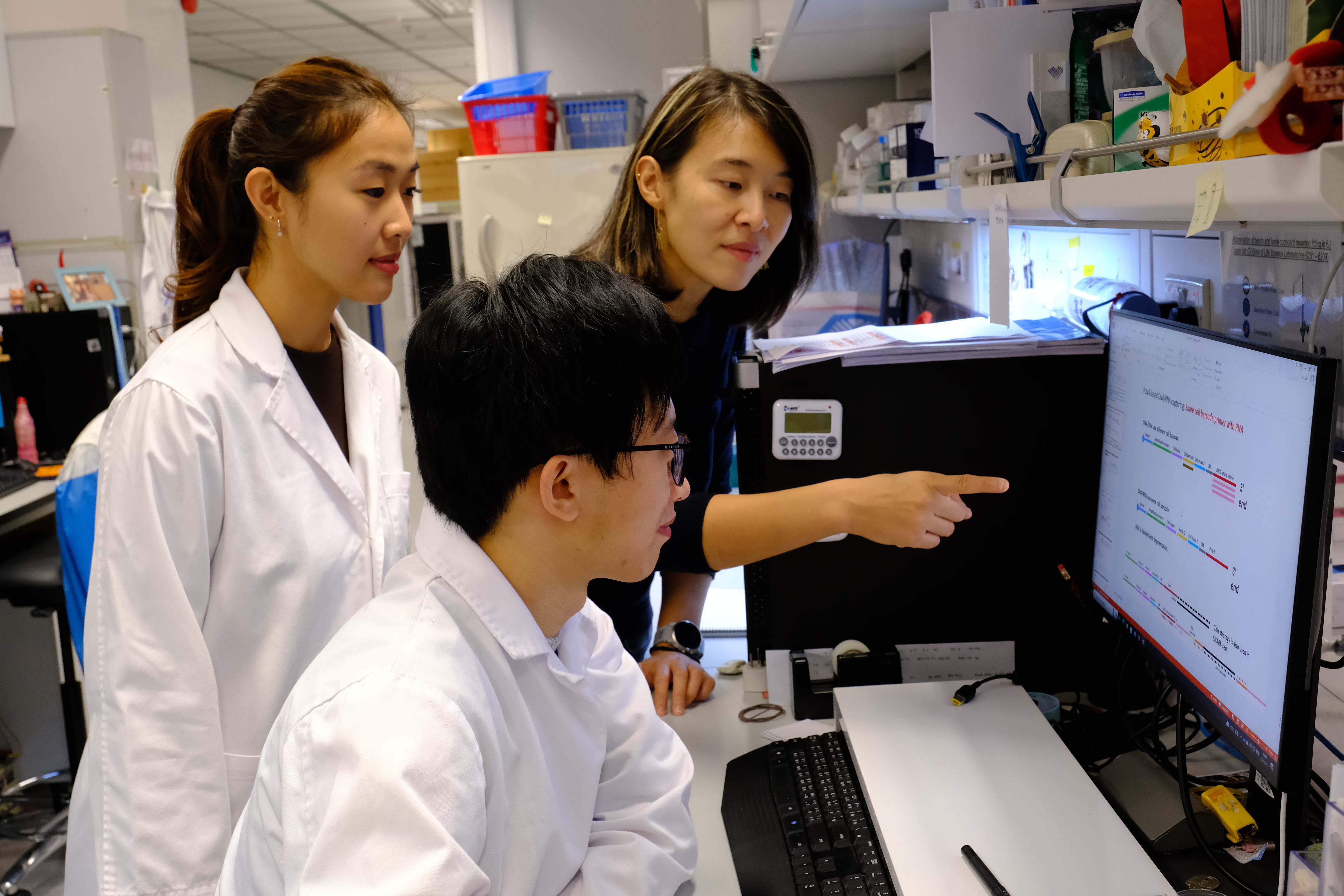 (From right) Prof. Angela WU, Associate Professor of HKUST’s Division of Life Science and Department of Chemical and Biological Engineering, post-doctoral fellow Dr. Lei YU as well as co-author of the paper, TAM Sing Ting