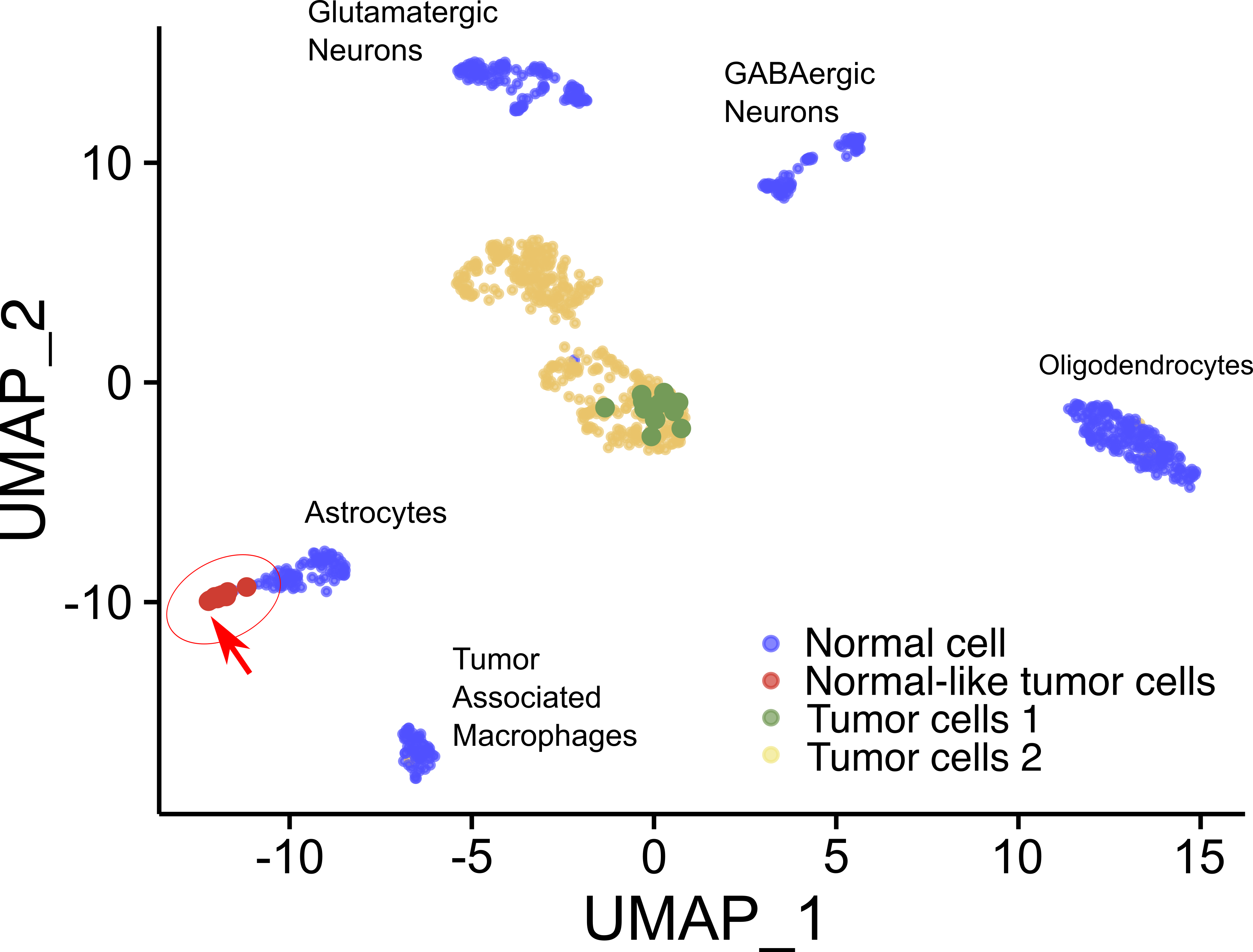 The team identifies rare brain tumor cell "spies" disguised as normal cells using this novel method