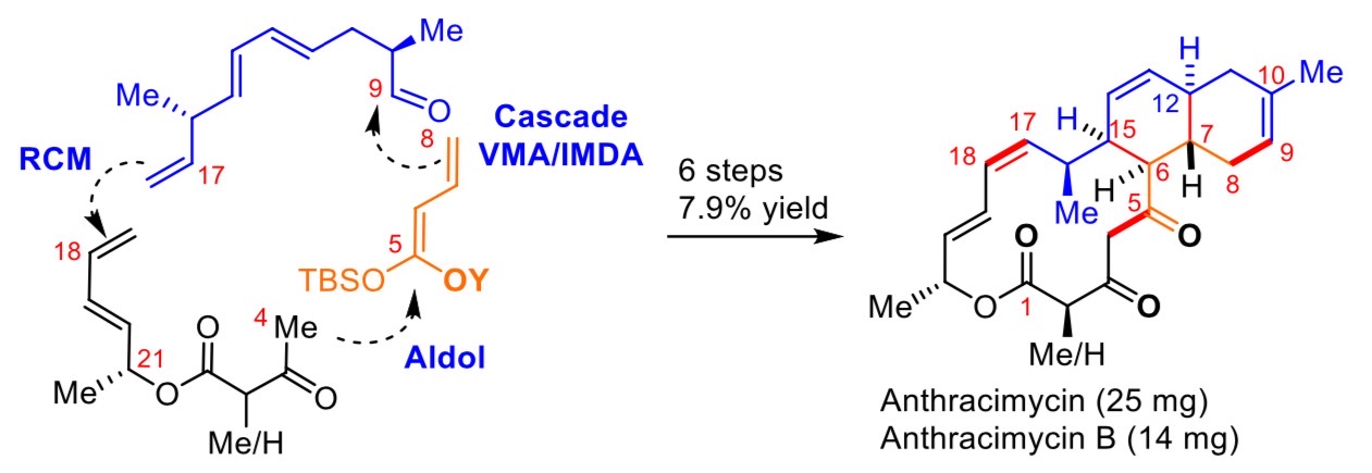The novel chemical synthesis of anthracimycin devised by Prof. Tong and his team