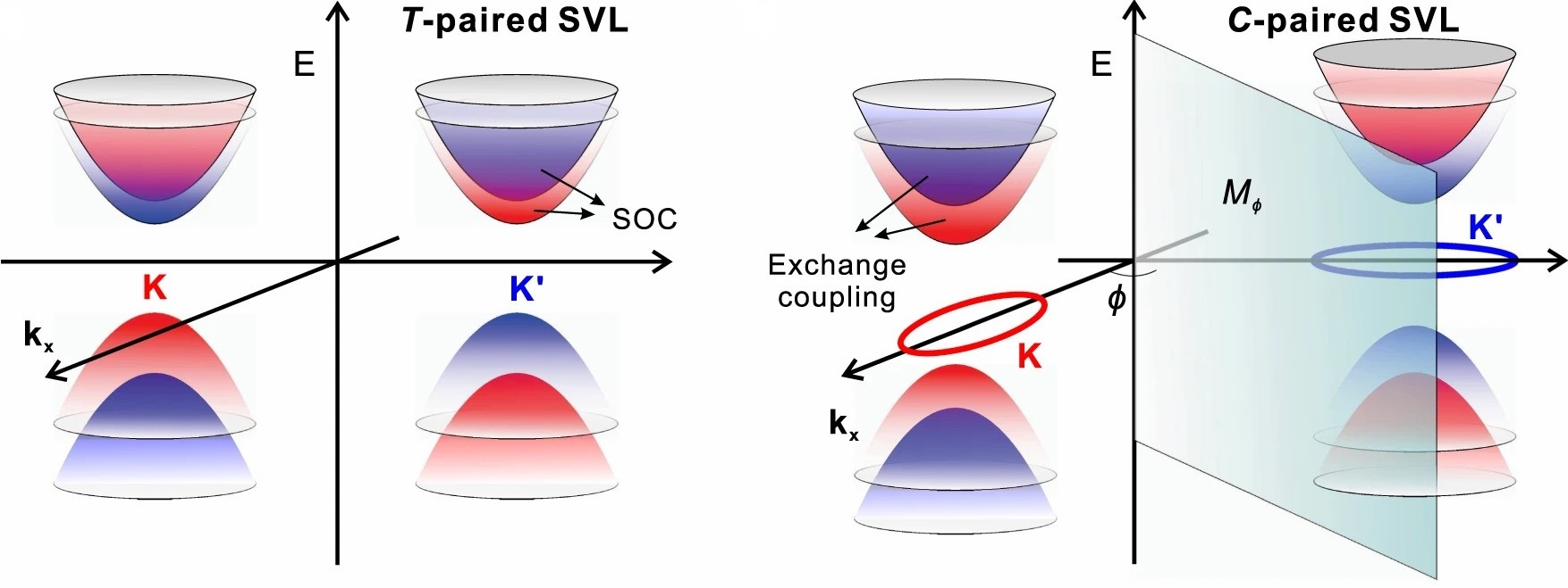 Figure 2. Spin-splitting energy bands of (a) T-paired SVL and (b) C-paired SVL.