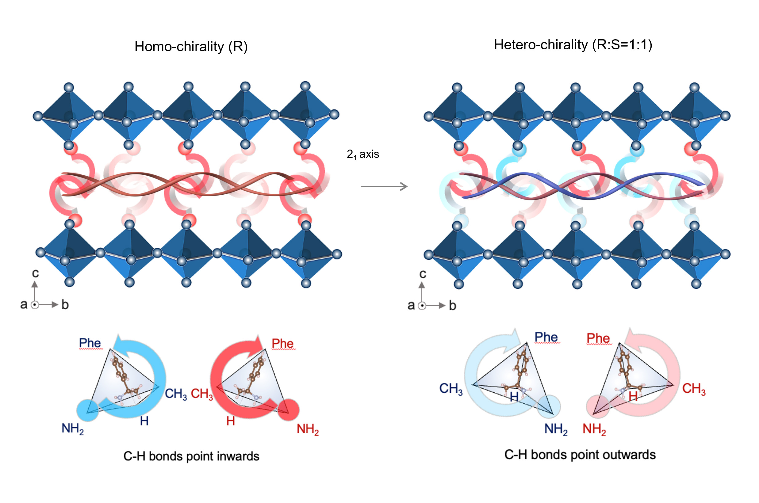 Schematics illustration of the homochiral and heterochiral interface modification concepts invented by Prof. Zhou’s research team.