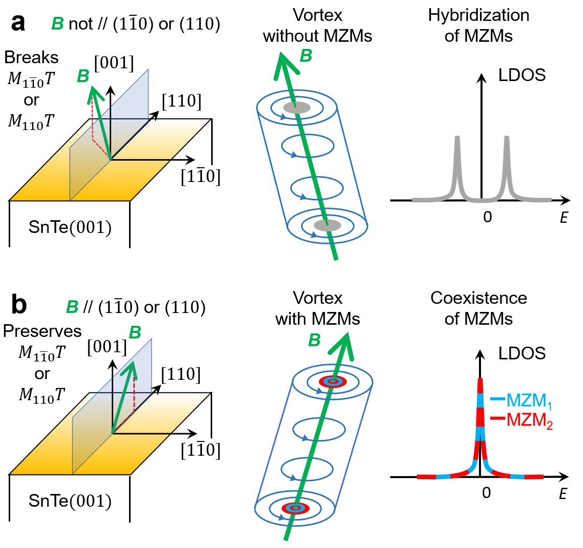 Schematics for controllable hybridization of MT protected MZMs using tilted magnetic fields. (a) The magnetic field is not parallel to the 110 or 110 mirror planes and breaks the symmetry that protects the MZMs. (b) The magnetic field is parallel to the 110 or 110 mirror planes and preserves the symmetry that protects the MZMs. Left: Schematics for the tilted magnetic field and the mirror planes. Middle: Schematics for the tilted vortex line. Right: Schematics for the local density of states showing the non