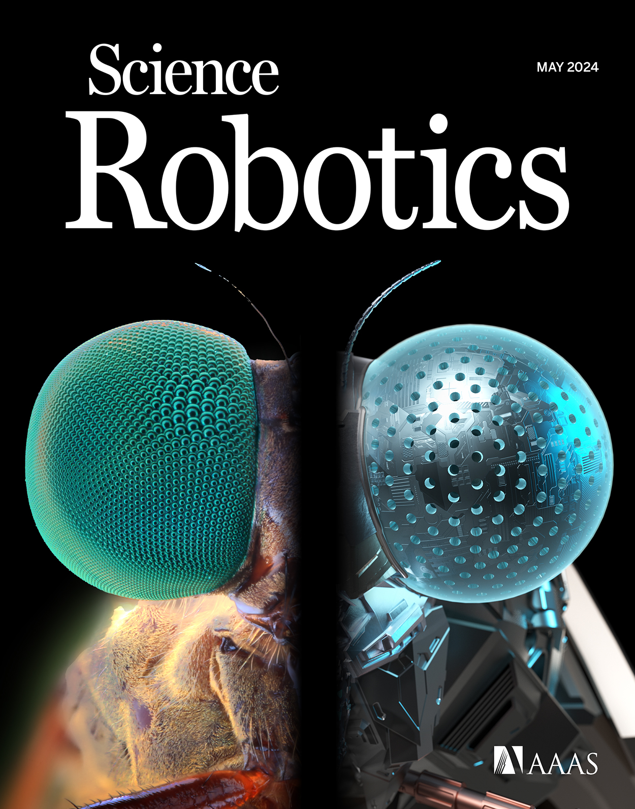 The research paper was featured as the cover article in Science Robotics (Volume 9, Issue 90) in May 2024. The cover shows a fusion of an image composite of a robber fly’s eye on the left and an illustration of the pinhole compound eye on the right.