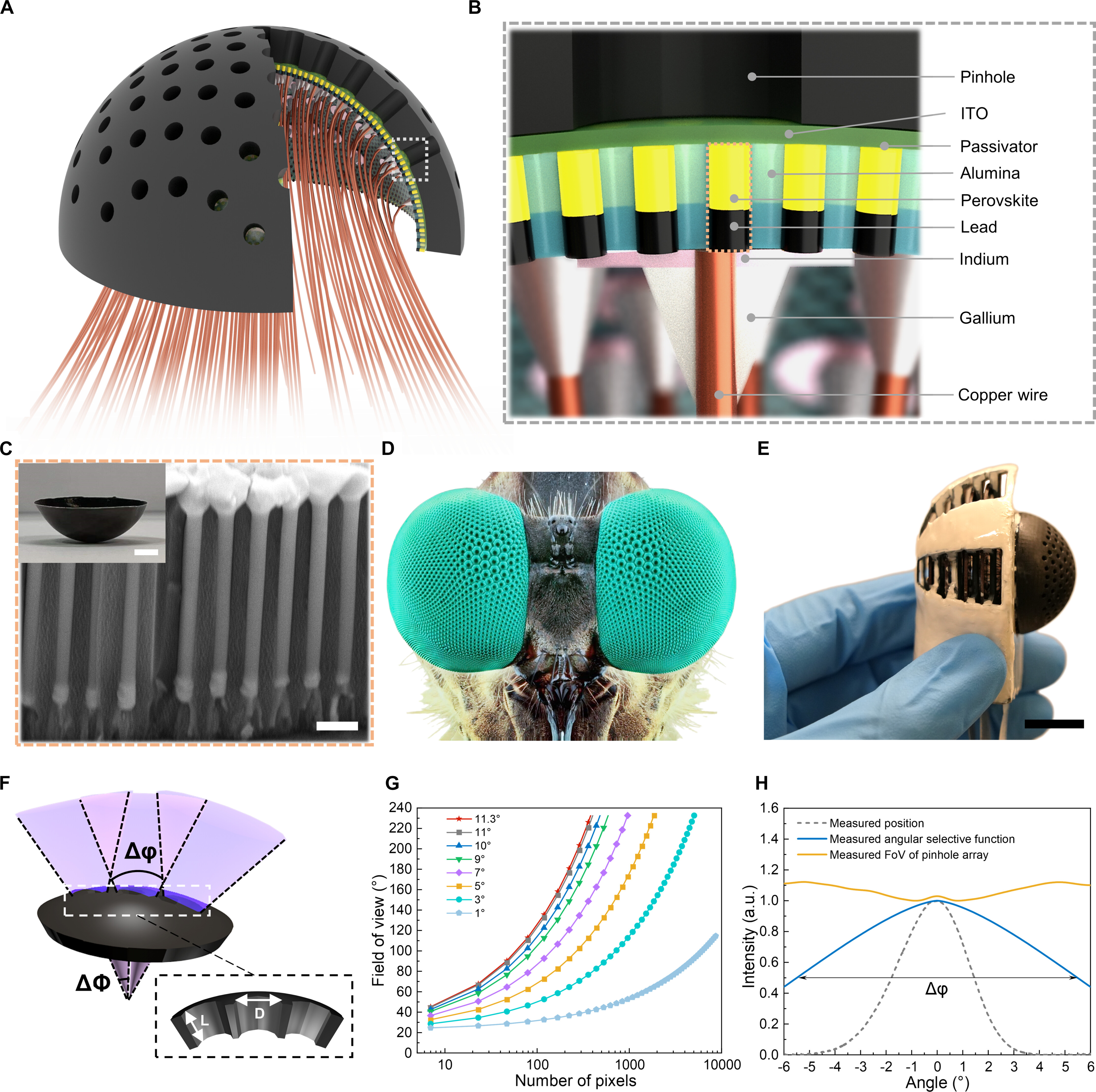 Schematic illustration and images of the pinhole compound eye camera and integrated components