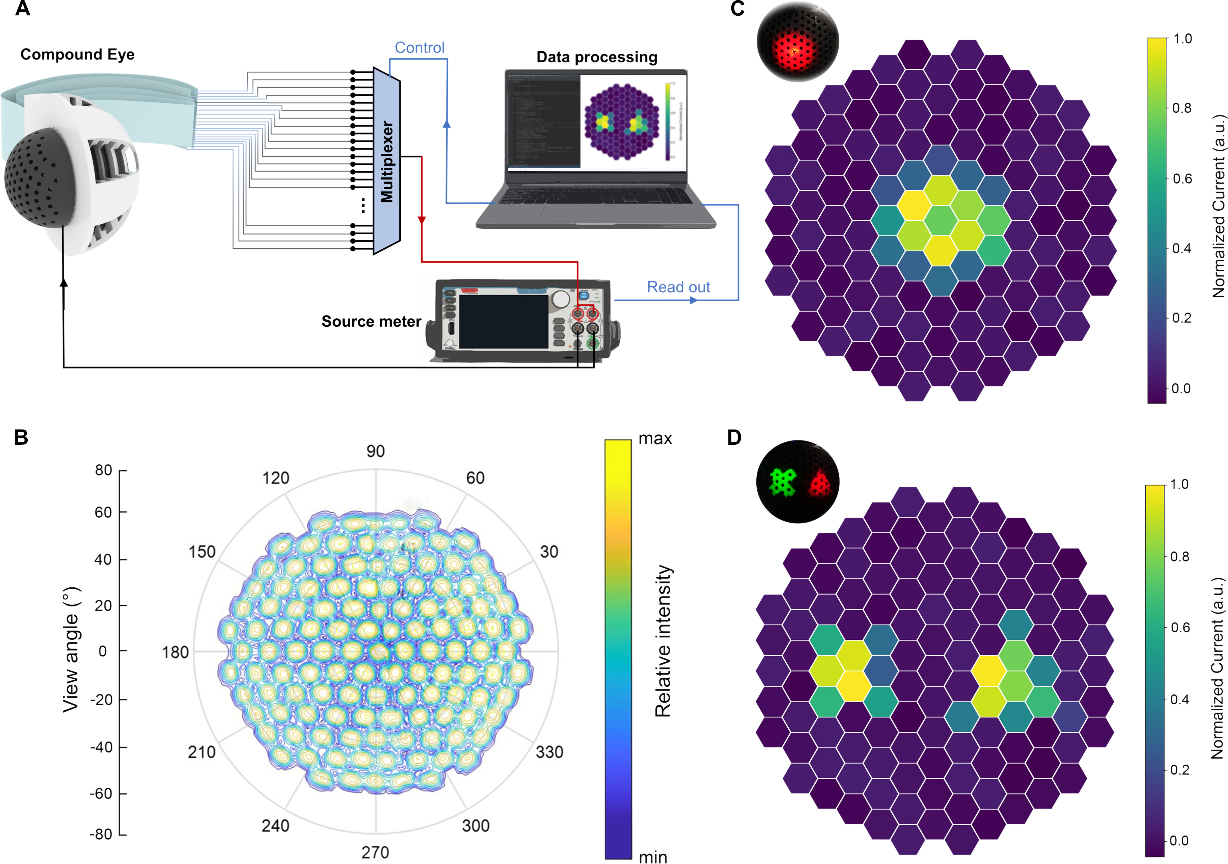 Imaging capability of the pinhole compound eye camera