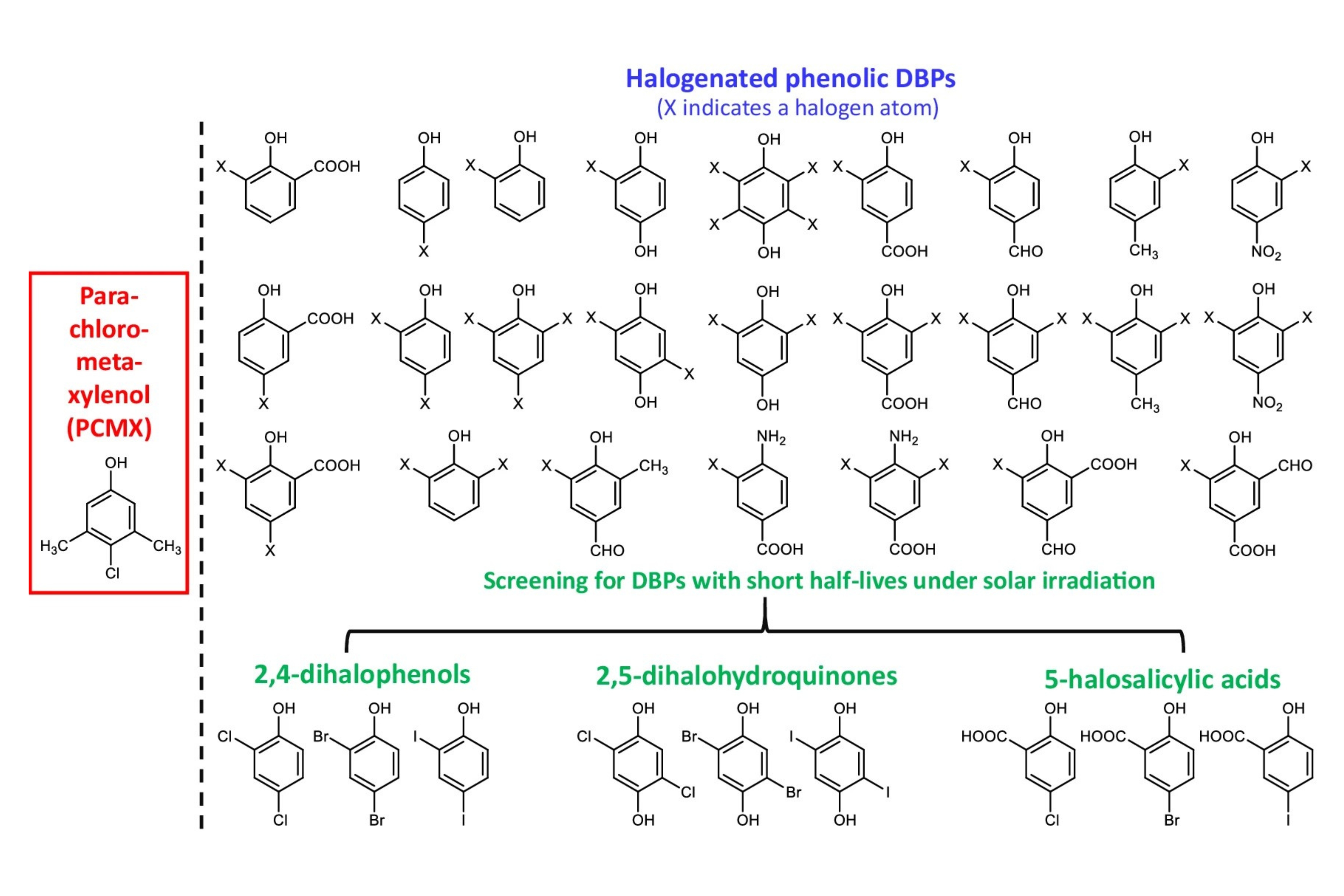 Schematic illustration of screening halogenated phenolic DBPs