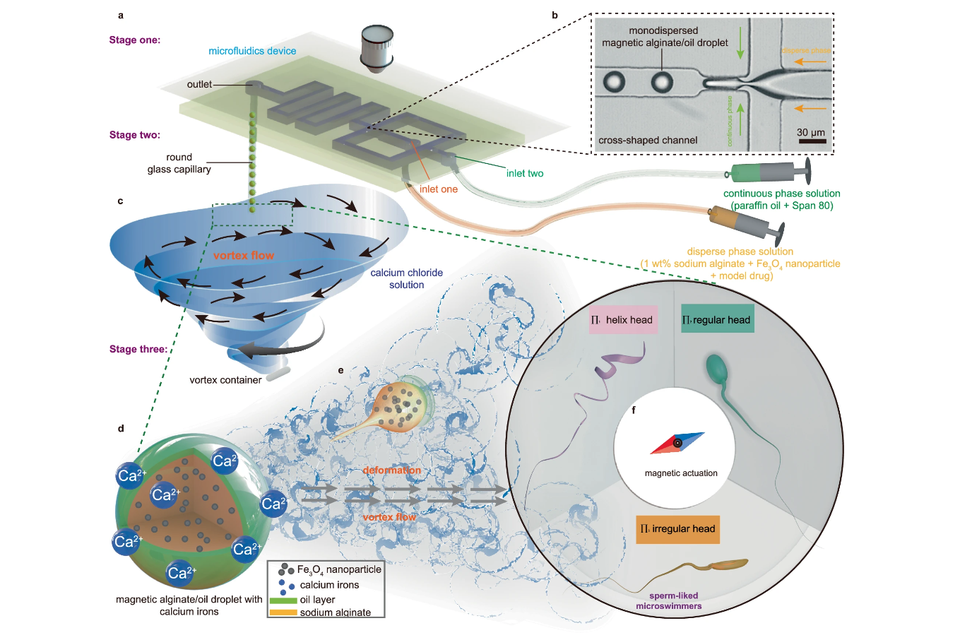 Production of polymorphous sperm-like microswimmers using the Vortex Turbulence-Assisted Microfluidics platform