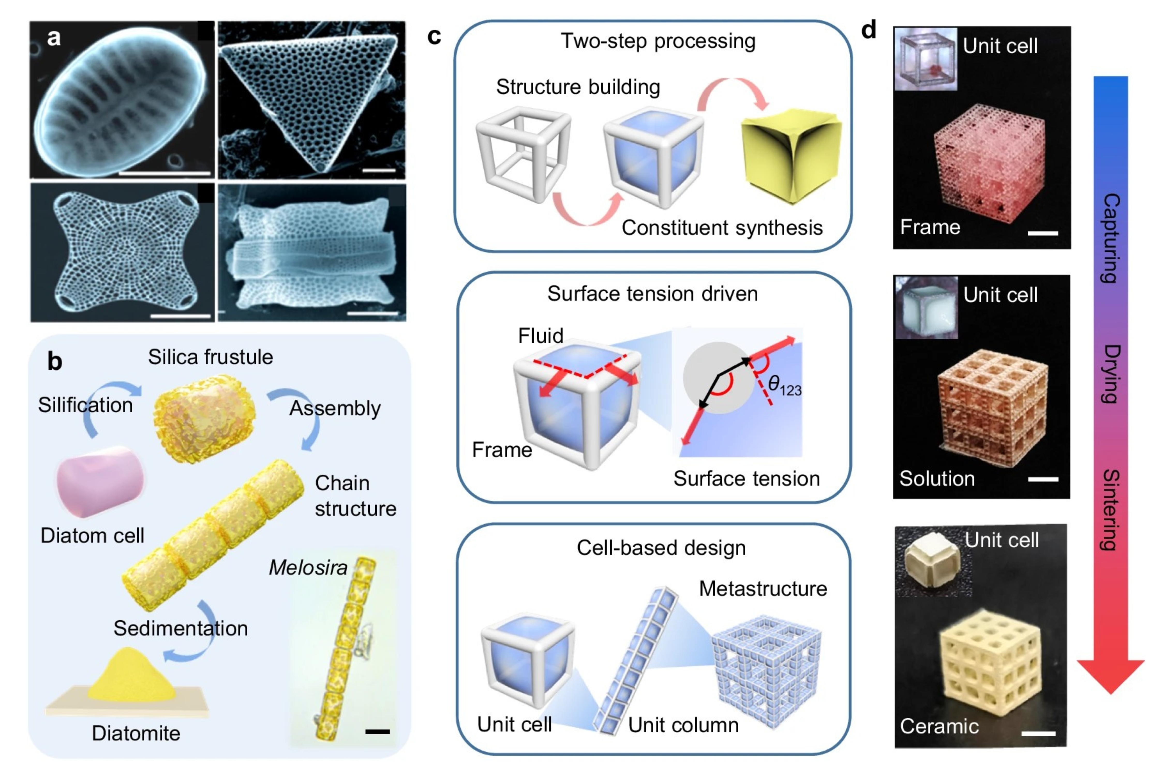 Nature-inspired design of the surface-tension-assisted two-step (STATS) manufacturing process