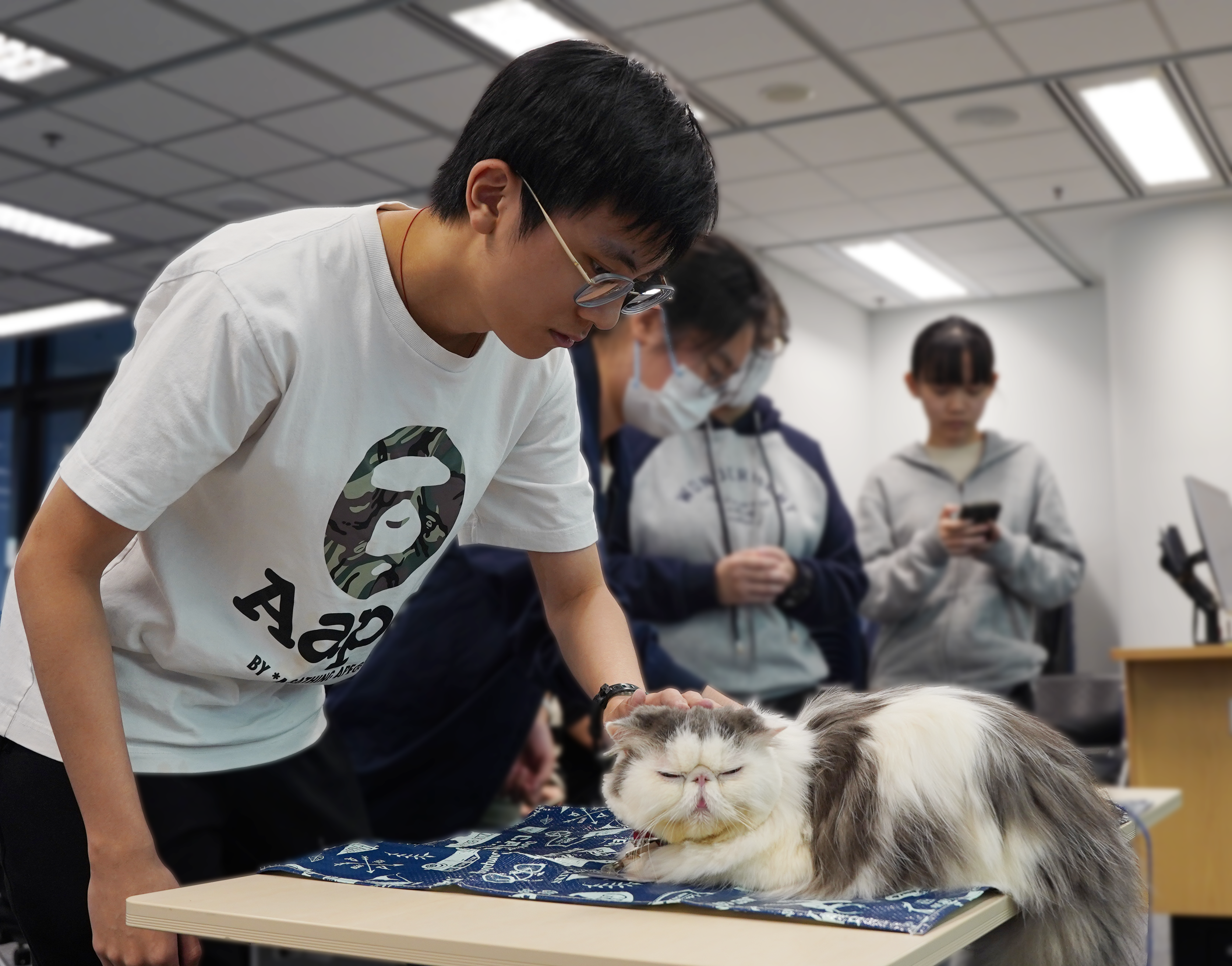 Students with therapy cats