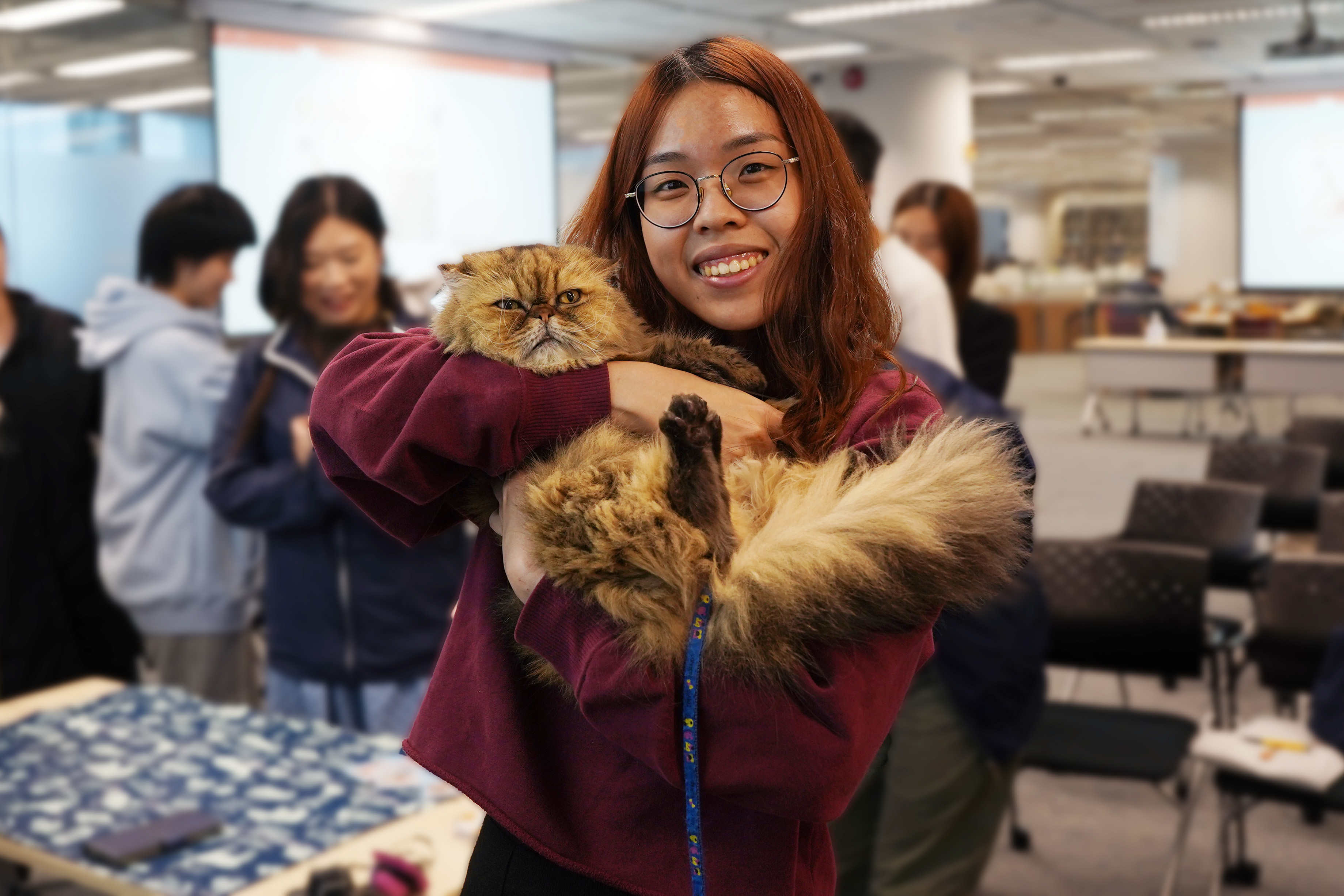 Students with therapy cats