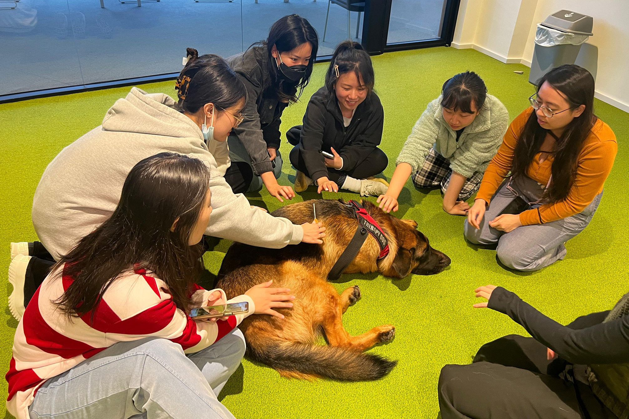 Students with therapy dogs