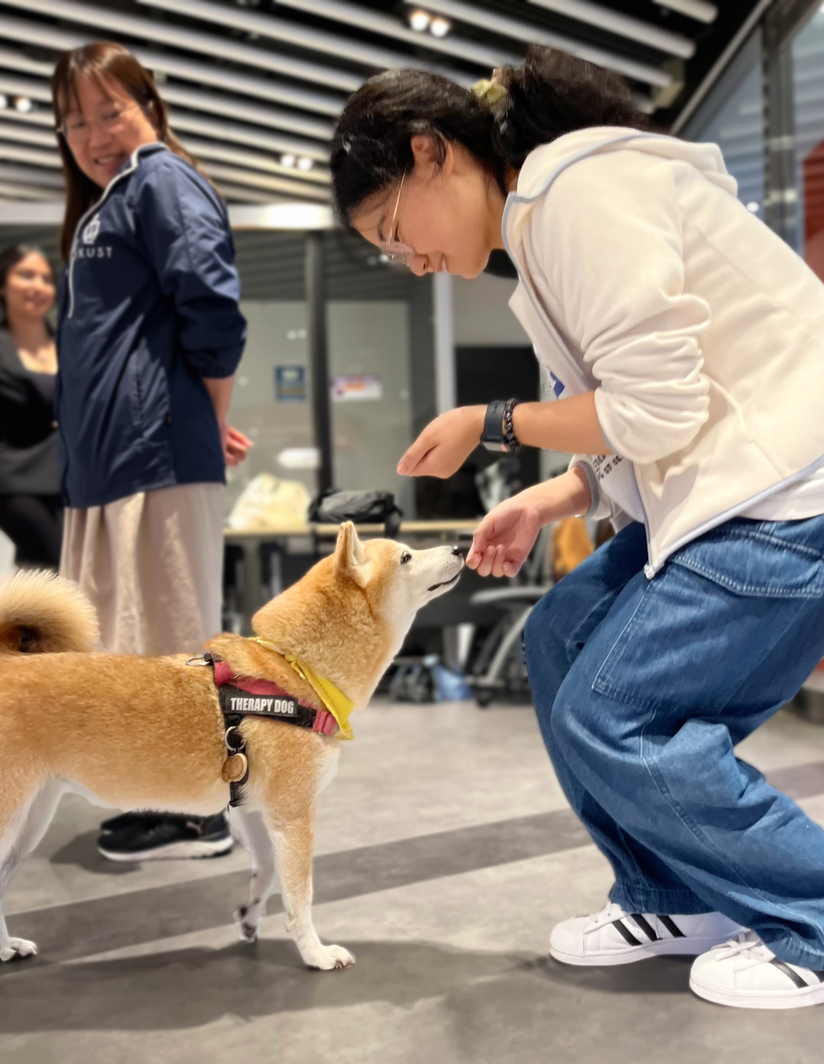 Students with therapy dogs