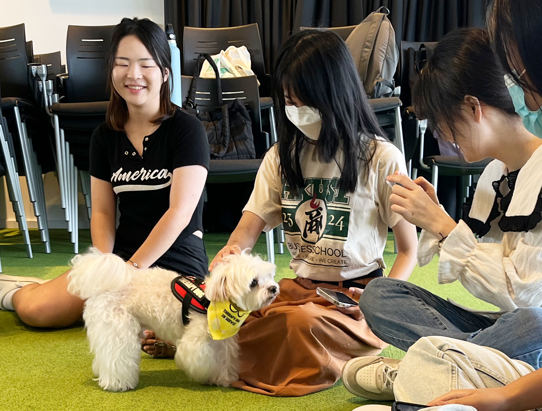 Students with therapy dogs