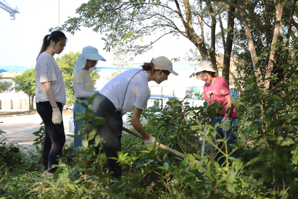 Dedicated to fostering a greener and more sustainable campus, HKUST organizes staff planting activities to cultivate an eco-conscious community.