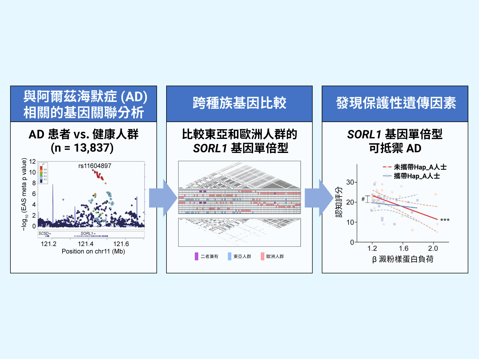 SORL1 Research Findings_HKUST_TC