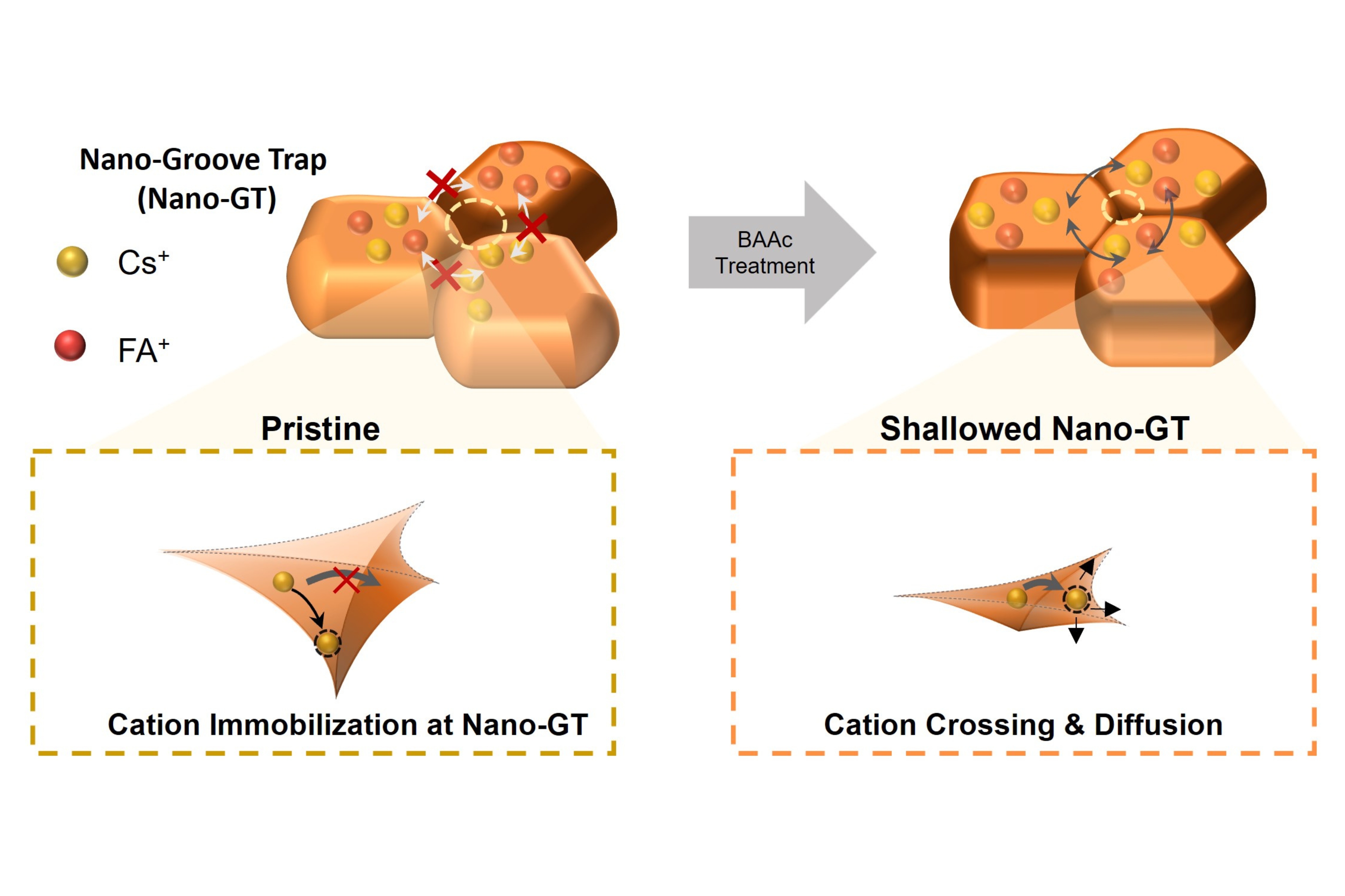 Schematic illustration of the nontrivial cation immobilization at a nanoscale groove trap and the cation relaxation after its shallowing