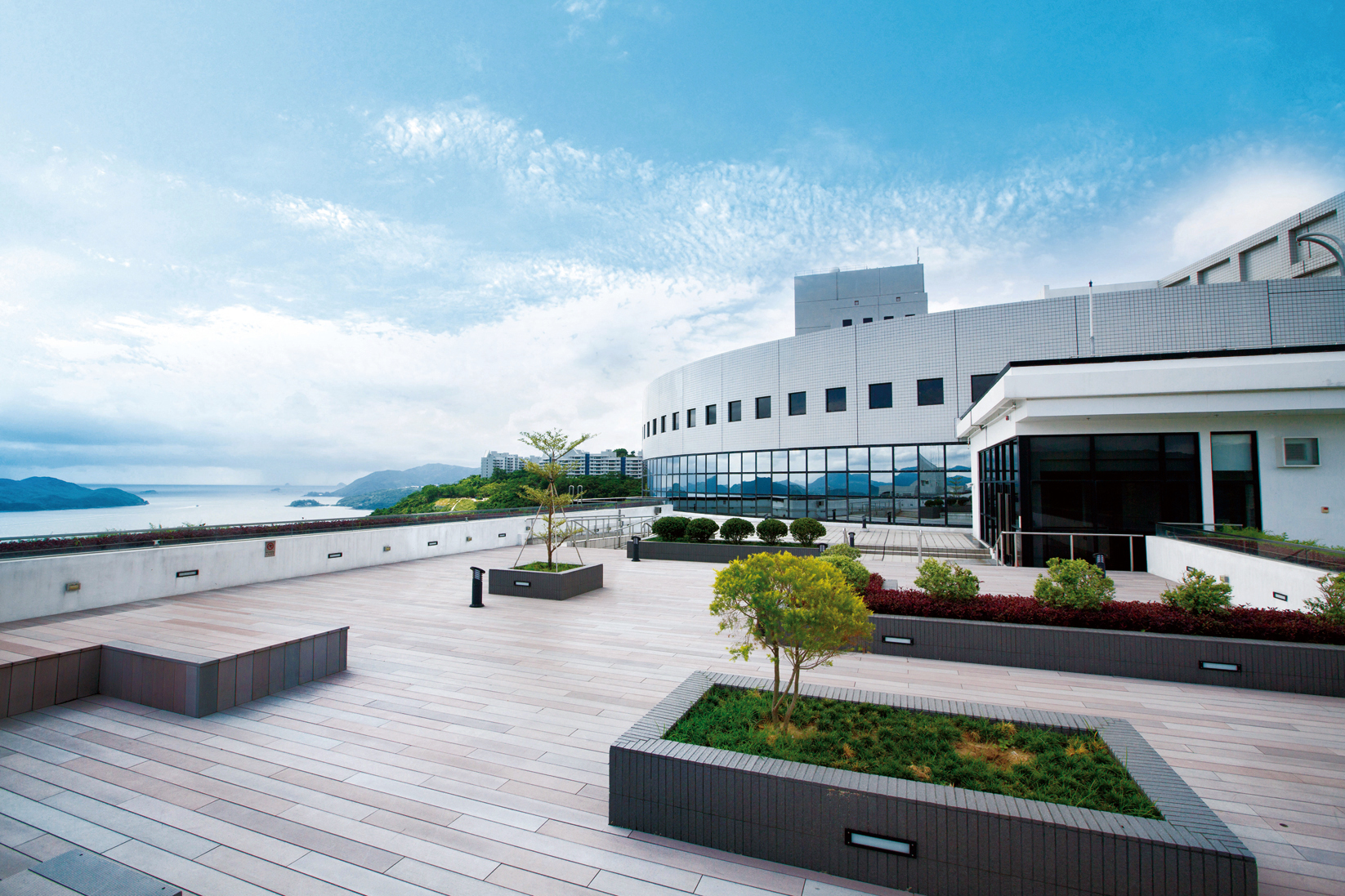 大鸣大放｜叶玉如：科大有信心办好医学院　未来培育兼备创新技术及临床实力医生