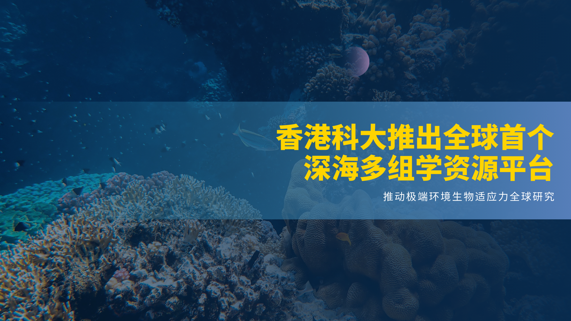 科大推出全球首个深海多组学资源平台