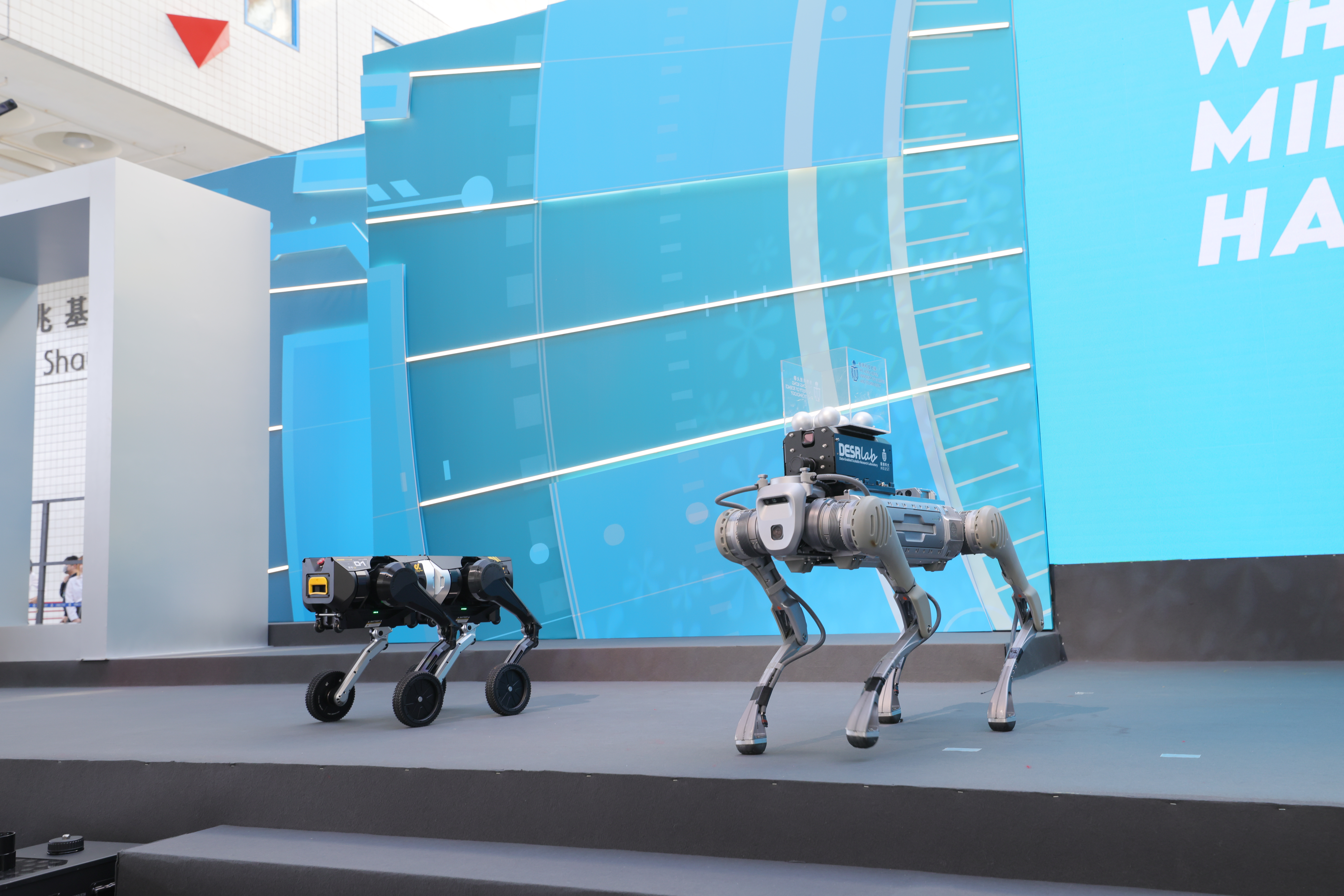 Robot dogs at HKUST 35th Anniversary Opening Ceremony