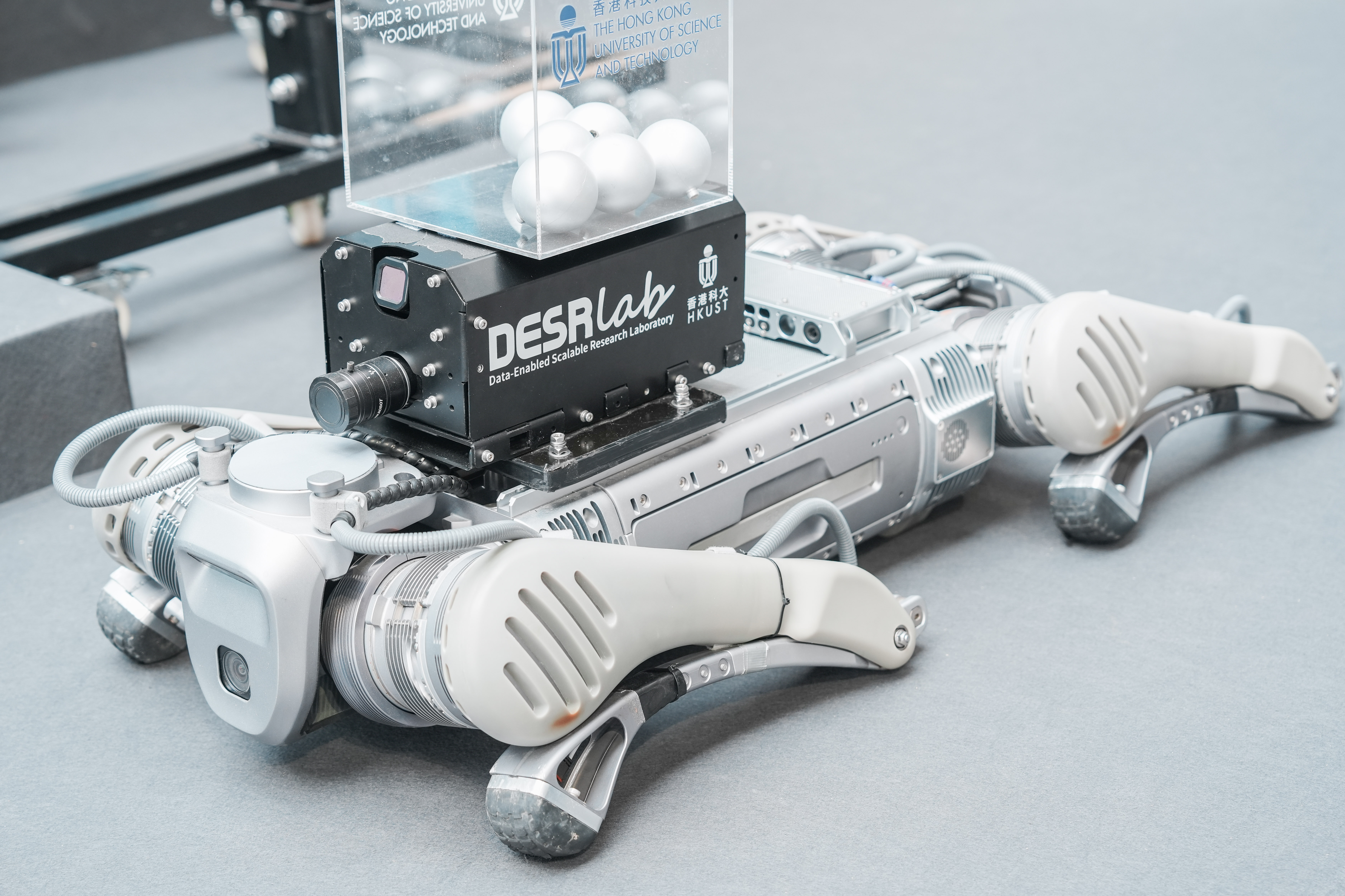Robot dogs at HKUST 35th Anniversary Opening Ceremony