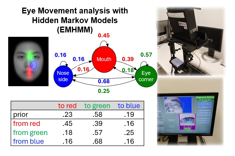 Prof. Hsiao has pioneered the analysis of human eye movements to study cognition.