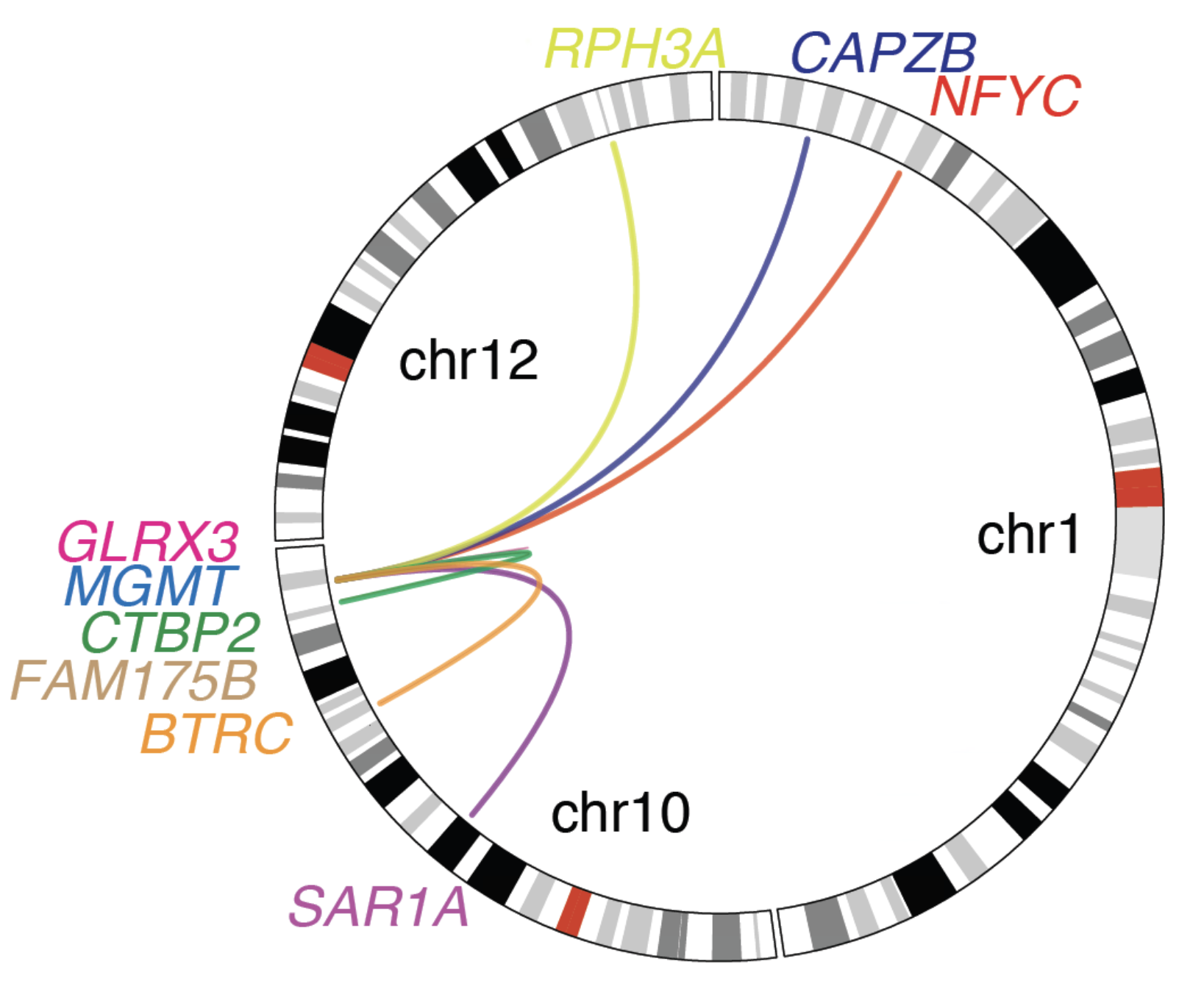 Eight forms of genomic translocation that drive MGMT gene fusions identified from TMZ-treated glioma patients.