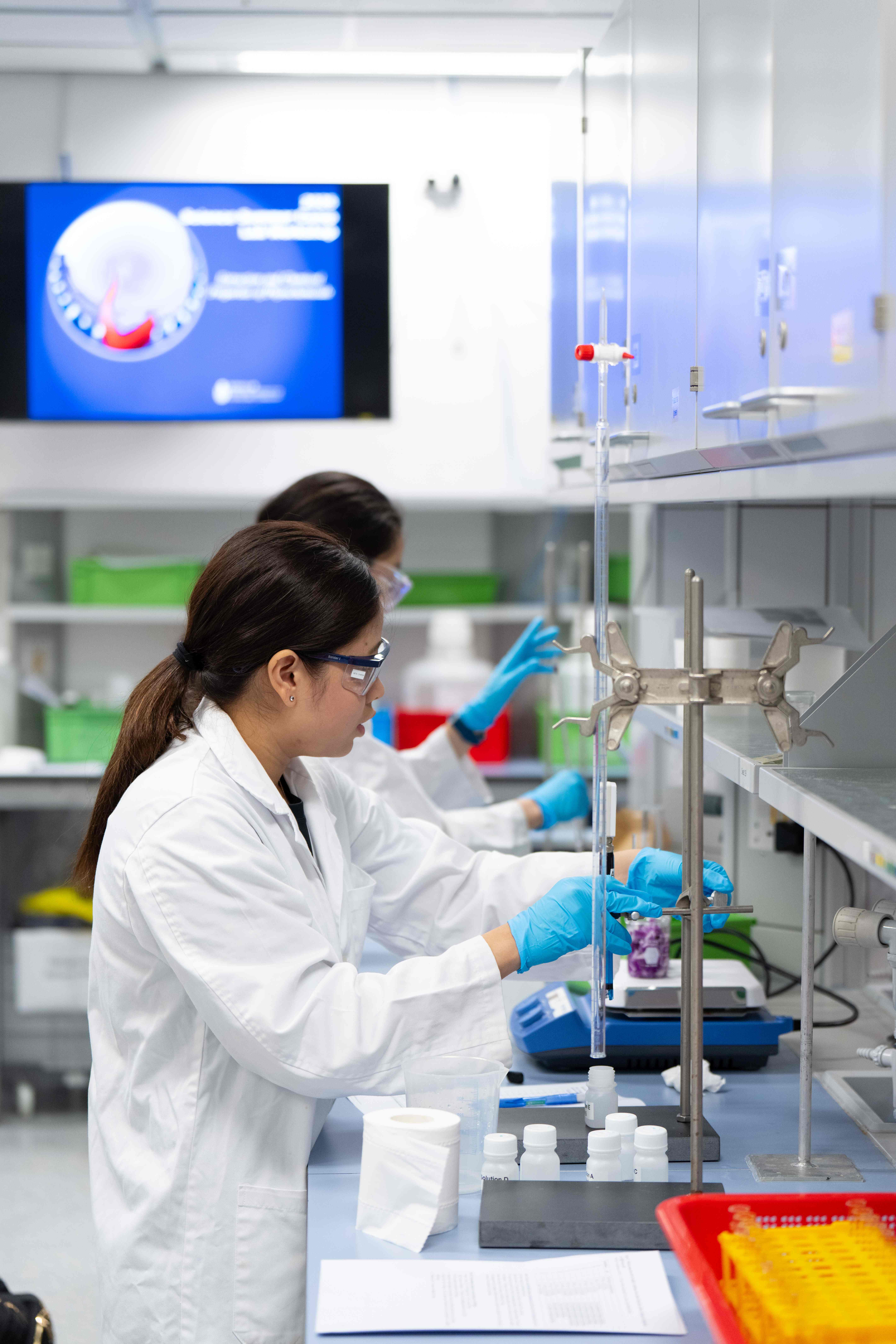 Students gained hands-on research experience in HKUST laboratories, applying experimental techniques and data analysis to explore topics in life sciences and chemistry while experiencing the University's rigorous and innovative learning environment.