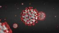 科大新研究显示人体T细胞免疫反应可有效应对Omicron