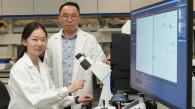 HKUST Researchers Identify a Protein as a Potential Therapeutic Target for Age-Related Diseases