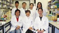 Prof Nancy Ip at HKUST unravels signaling mechanisms in the brain - Breakthrough research published in prestigious molecular neuroscience journals