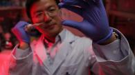 香港科技大學研發嶄新智能水凝膠  有助開拓材料生物學和生物醫療的應用