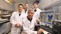 HKUST Researchers Achieve Breakthrough in Unveiling the Mechanism through which Genetic Mutations of a Motor Protein Lead to Hereditary Deaf-and-Blindness