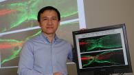 香港科技大学突破性科研发现   有望治疗慢性脊髓损伤