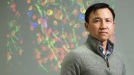 香港科技大學科學家發現促進神經軸突再生的新方法