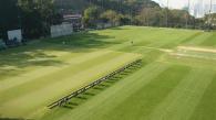 The career of the greenskeeper