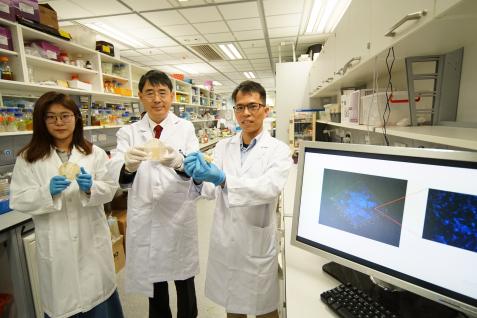 钱培元教授（中）与团队成员李泳新博士（右）及博士研究生王若珺（左）透过于海水中培育生物膜，发现了7,000多个全新海洋微生物种(培养皿及计算机屏幕所示)。