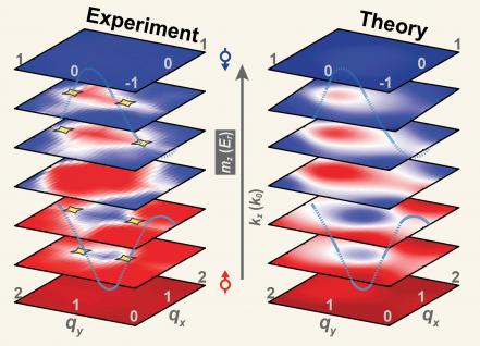 Three-dimensional band topology is experimentally mapped out showing nodal lines in good agreement with theoretical prediction.