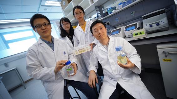 Prof. Zeng Qinglu (front right) and his research team, including first author of the journal paper Liu Riyue (front left).