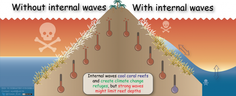 内波可为珊瑚礁降温和提供一个抗热环境。