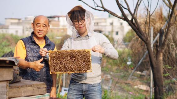 焯成（右）向元朗一位本地蜂農拜師，學習怎樣在不用抗生素、不加糖、不熱壓的情況下生產蜂蜜。