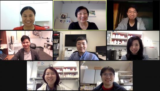 A group photo of the research group on Zoom (Top row Left to Right) Dr. ZHAO Yongqian, Former Research Assistant Professor, Division of Life Science, HKUST; Prof. Bik TYE, Senior Member, Institute for Advanced Study, HKUST; Mr. Eric CHEUNG Ming-Fung, Research Assistant, Division of Life Science, HKUST; (Second row from Left to Right) Prof. Danny LEUNG, Assistant Professor, Division of Life Science, HKUST; Prof. ZHAI Yuanliang,  Assistant Professor at the School of Biological Sciences, HKU; Dr. Vincy HO, Res