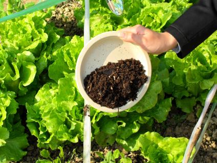 Using compost for organic farming	