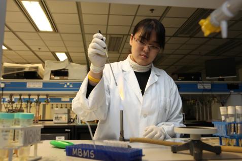 Student Joyce Zhang doing an experiment for the iGEM project	