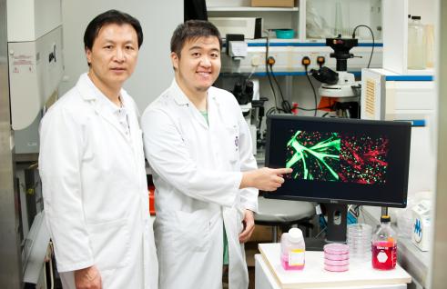 Prof Zhenguo Wu (left) and Dr Yarui Diao.