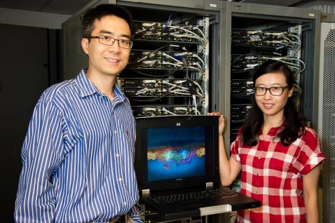 黄旭辉教授(左)及博士後研究員张璐运用由科大资讯科技服务中心管理的高效能计算机，破解了光合作用的机理。