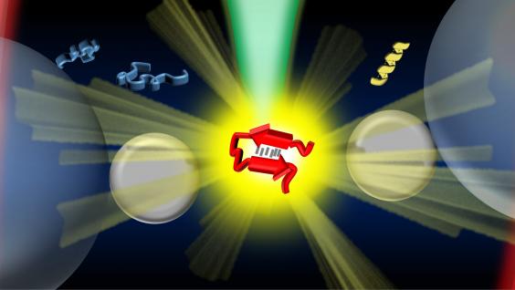 An illustration showing the optical tweezers-controlled hotspot for the protein structural characterization by surface-enhanced Raman spectroscopy. An illustration showing the optical tweezers-controlled hotspot for the protein structural characterization by surface-enhanced Raman spectroscopy.