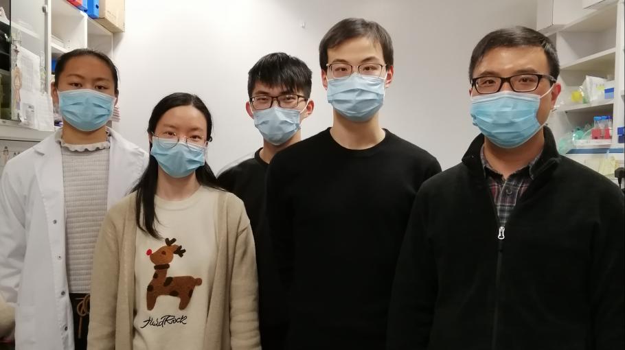 HKUST Researchers Discover a Novel Mechanism of Recruiting Arf Family Proteins to Specific Subcellular Localizations