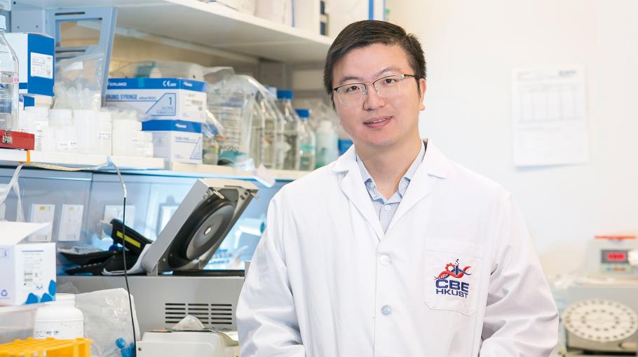 Prof. SUN Fei, the Versatile Scientist who Enjoys Creating Things