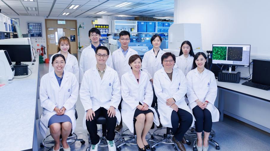 HKUST Scientists Unveil Promising Target for Alzheimer’s Disease Treatment